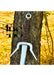 "Handcrafted Zireael Sword, Ciri Metal Replica, The Witcher Cosplay Sword, Elven Steel Blade, Christmas Gift, Anniversary Gift, Groomsmen Gift" - TheBlacksmithLtd #